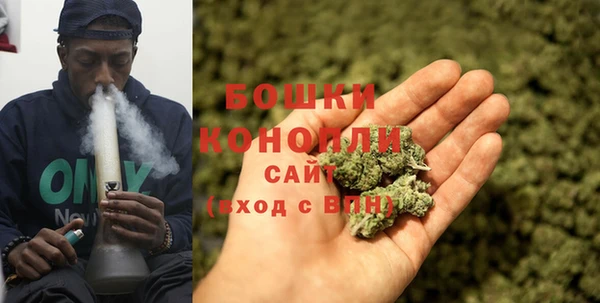 молекула духа Уссурийск