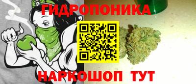 прущие крисы Гагарин