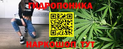 прущие крисы Гагарин