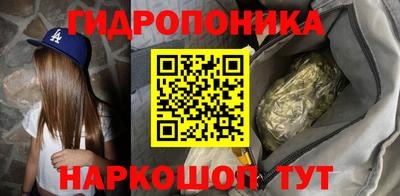 дурь Гай