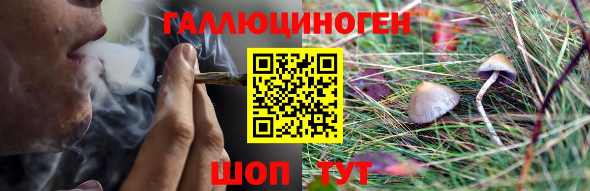 наркота  Псилоцибиновые грибы ЛСД  Вход с VPN  Богданович 